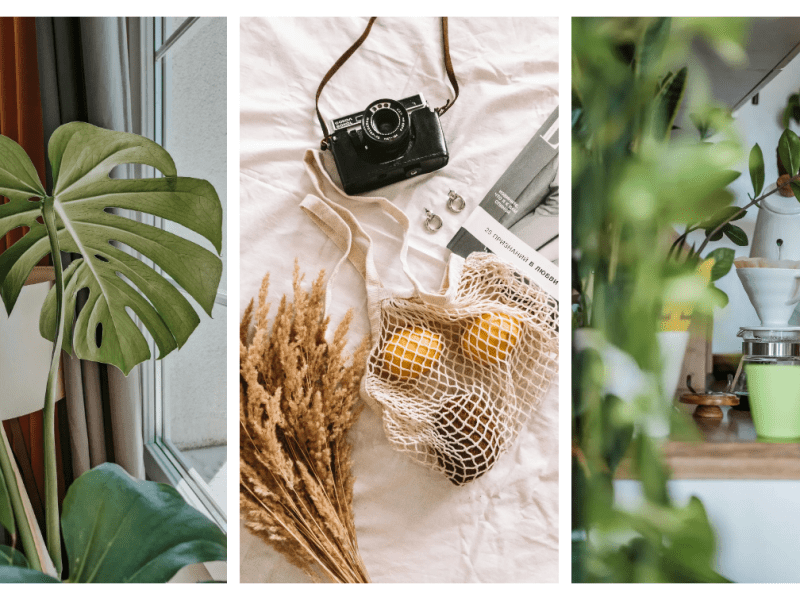 Starting Your Simple Living&nbsp;Journey